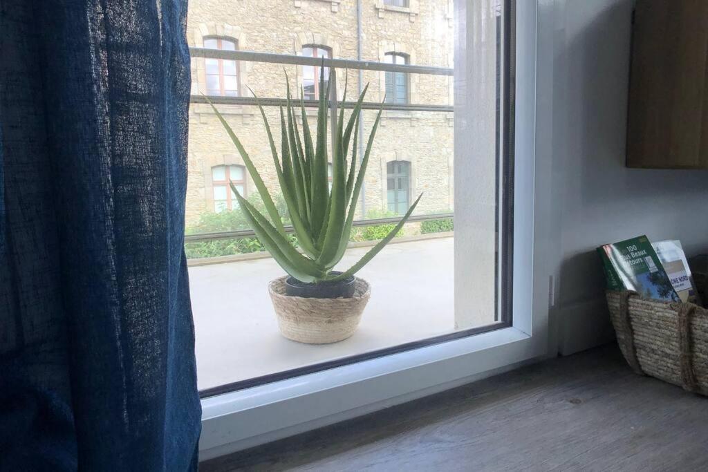 Appartement, Confort, Parking, Terrasse ディナン エクステリア 写真